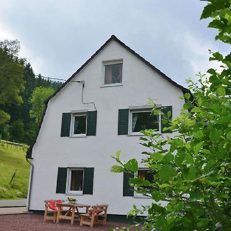 Haus Elpe Naehe Meschede Winterberg Villa Olsberg Eksteriør bilde