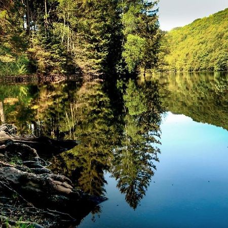 Haus Elpe Naehe Meschede Winterberg Villa Olsberg Eksteriør bilde