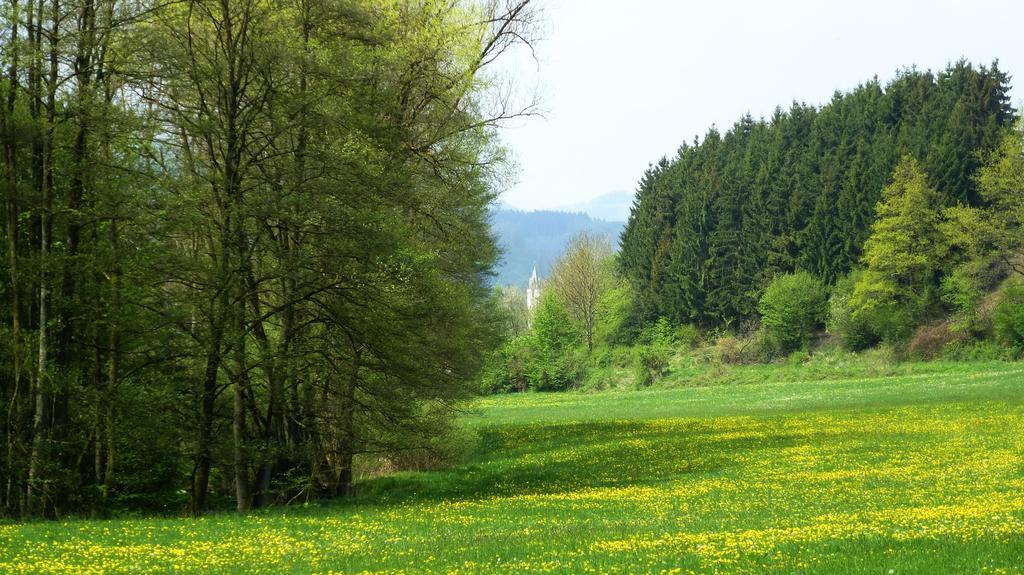 Haus Elpe Naehe Meschede Winterberg Villa Olsberg Rom bilde